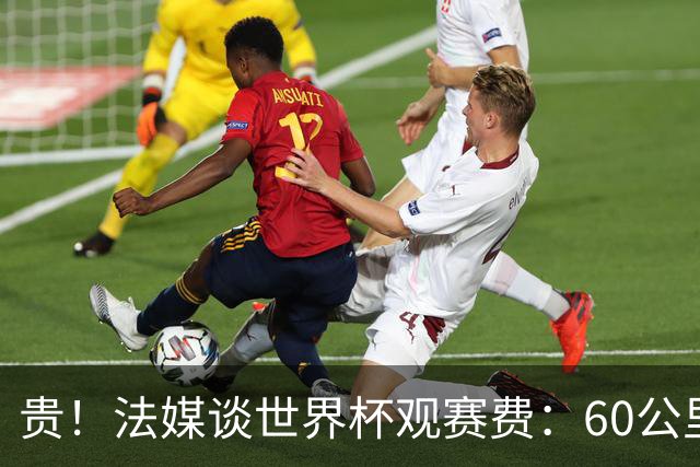 贵！法媒谈世界杯观赛费：60公里火车98美元，有人4天花4500欧元